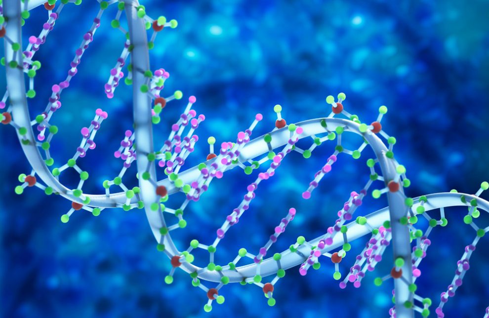 Illustration der Doppelstrang-Struktur der DNA