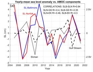 Meeresspiegel und AMOC