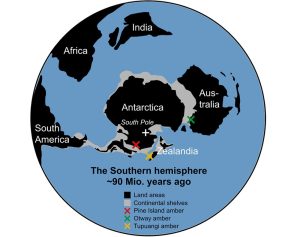 Antarktis vor 90 Mio. Jahren