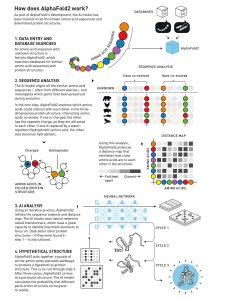 AlphaFold2
