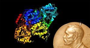 Proteinstruktur