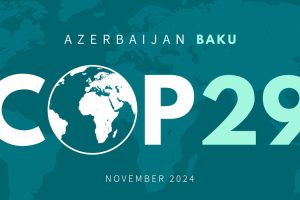 COP29