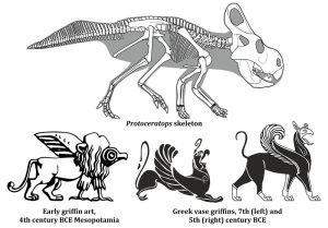 Protoceratops und Greifenkunst im Vergleich