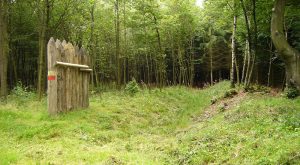 Limes-Denkmal im Wald neben überwuchertem Wall-Graben-System