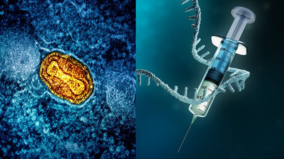 mRNA-Impfstoff gegen Mpox