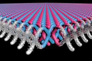 Diese Abbildung zeigt, wie X-förmige Monomere miteinander verknüpft werden, um das erste mechanisch ineinander verzahnte 2D-Polymer zu erzeugen. Ähnlich wie ein Kettenhemd weist das Material eine außergewöhnliche Festigkeit auf.