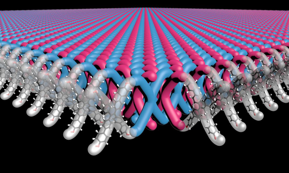 Diese Abbildung zeigt, wie X-förmige Monomere miteinander verknüpft werden, um das erste mechanisch ineinander verzahnte 2D-Polymer zu erzeugen. Ähnlich wie ein Kettenhemd weist das Material eine außergewöhnliche Festigkeit auf.