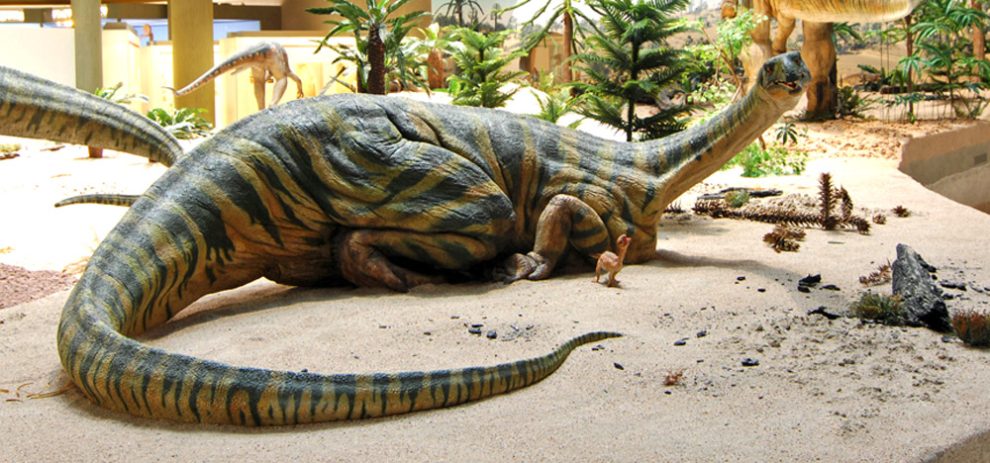 Plateosaurus