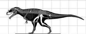 Tameryraptor markgrafi