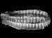 Arthropleura-Fossil