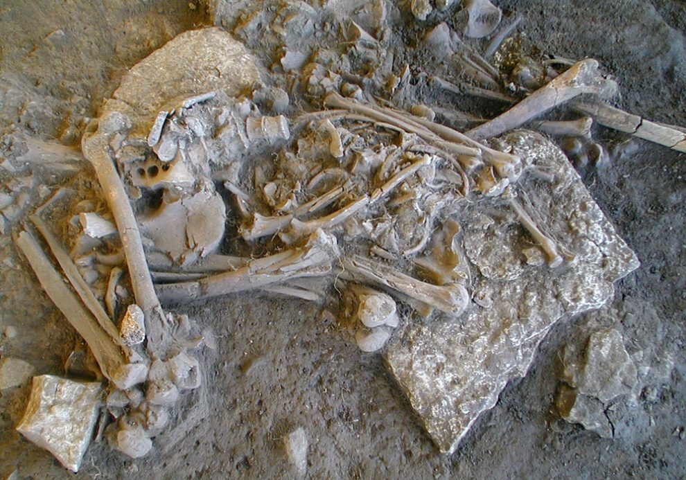 eines der vollständigen gefundenen Skelette
