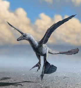 Microraptor-Verwandter flattert mit den Flügeln