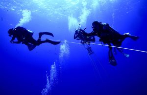 Taucher suchen nach Flachwasser-Rippenquallen vor Big Island, Hawaii