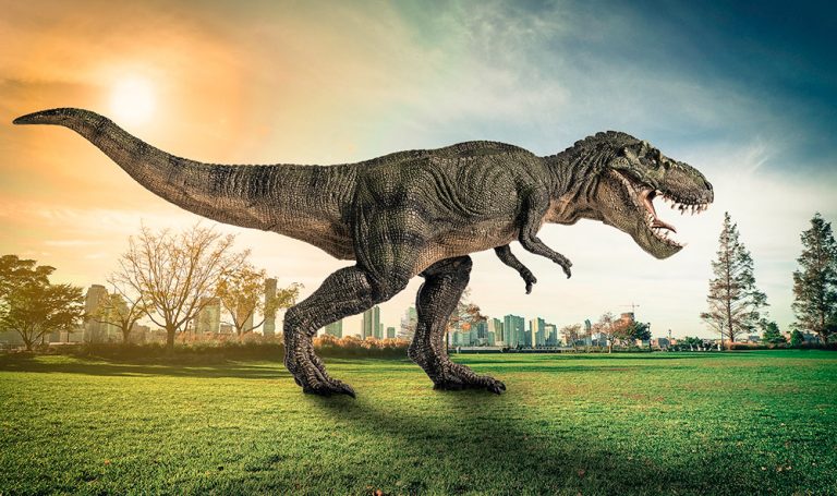 2,5 Milliarden Tyrannosaurus rex - Forscher ermitteln Populationsdichte