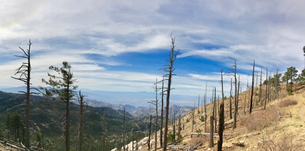 Catalina Mountains