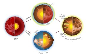 Zwei Szenarien für die junge Venus