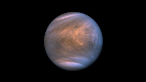 Venus