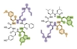 neuartige Peptide