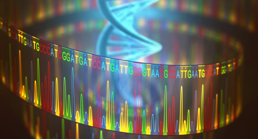 DNA