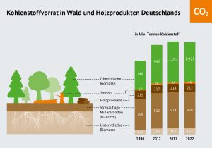 Grafik zur CO2-Bilanz der deutschen Wälder