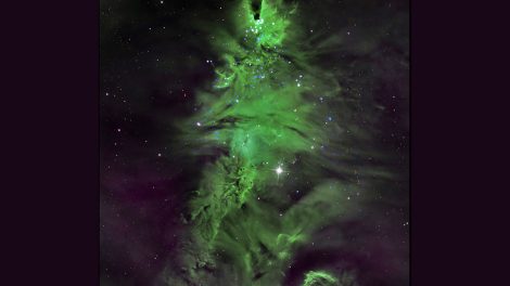 Kosmischier Weihnachtsbaum